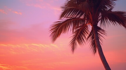 sunvibrant pink palm