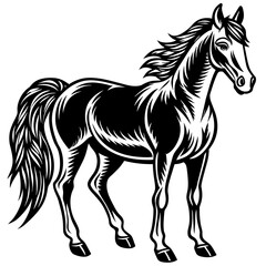 horse silhouette vector illustration 