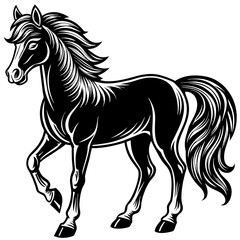 horse silhouette vector illustration 