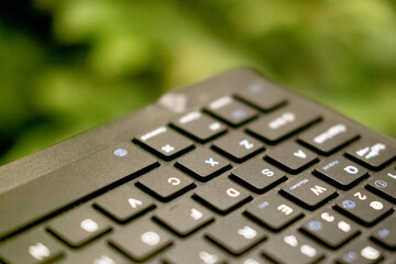 Close up Photo of Keyboard with Green Leaves Background