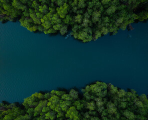 Aerial drone shot of blue water lake with green forest, Kerala nature landscape scenery
