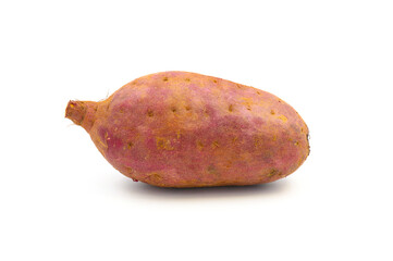 sweet potato tuber