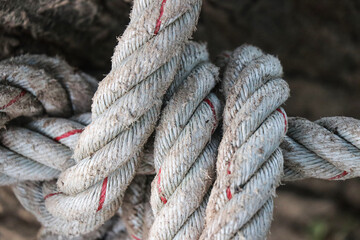  hemp rope texture large hemp rope bundled together