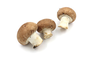 Fresh  champignon mushrooms isolated on a white background.  full depth of field.