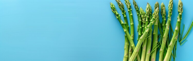 Fototapeta premium bunch of fresh green asparagus on a solid background 
