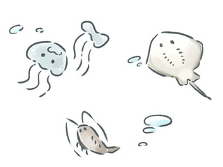 かわいい海の生き物たち