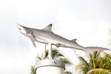 Shark Statue by the Sea at Ao Po port,Phuket Thailand