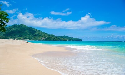 Fototapeta na wymiar Beautiful tropical beach. Amazing natural scene