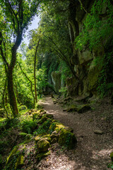 Fototapeta na wymiar Beautiful natural landscape with traces of ancient civilizations in the Chia Waterfall Park, in the Province of Viterbo, Lazio, Italy.