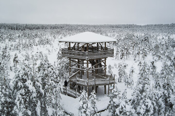 Observation tower on the Viru swamp on a winter day, drone point of view.