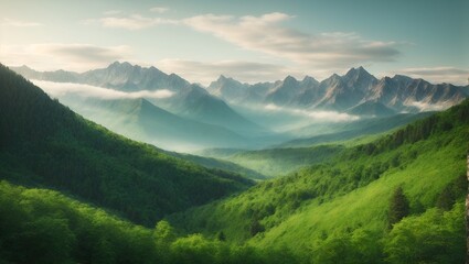 Landscape of nature green forest mountain. Vector illustration