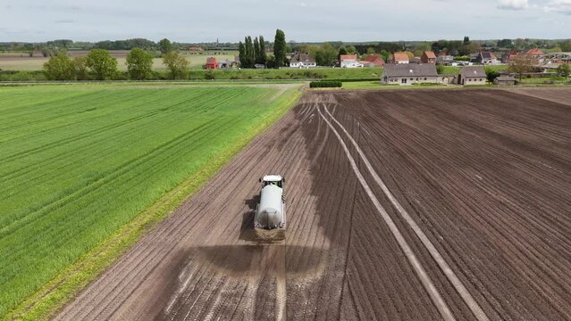 White Horse Running in Field