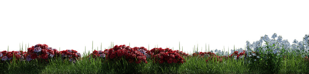 wild grass and flowers on transparent background - 3D Illustration
