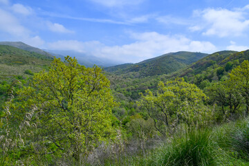 Obraz premium The natural landscape in the mountains of Campania in the province of Caserta, Italy. 