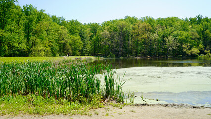 Nature and landscape 