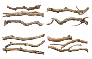 Collection of old wood branches isolated on white or transparent background