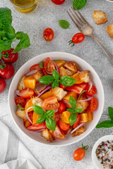 Traditional italian tomato salad panzanella with red onion, fresh basil and croutons in a bowl. Summer salad.