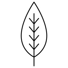 leaf icon isolated on white