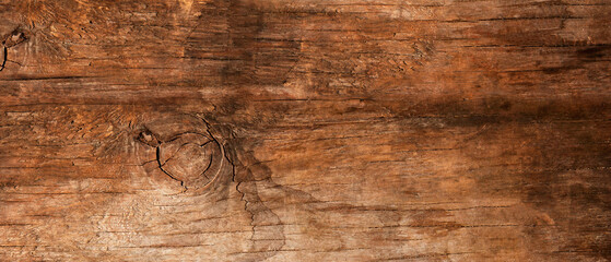 Closeup of wood texture.