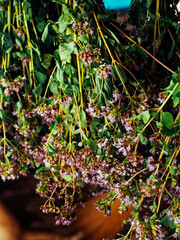 Hanging bundles of mixed herbs with prominent purple blossoms, capturing a scene of traditional...