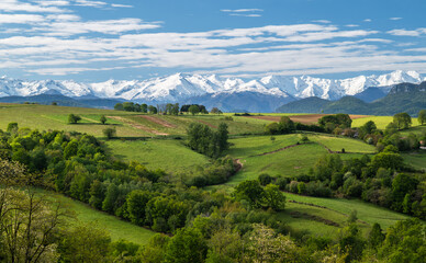 Landscape of southwestern France in spring with the Pyrenees mountains in the background