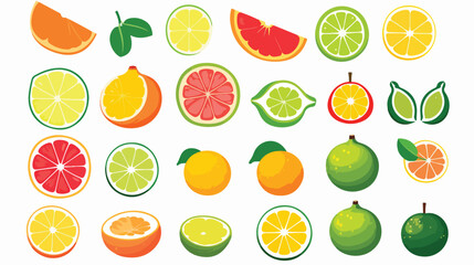 Set of different citrus fruits isolated on white ba