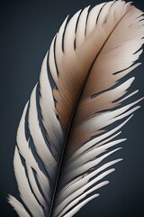 Close-up view of bird feather, highlighting the intricate details and textures
