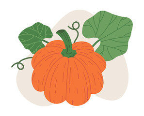 Flat orange pumpkin. Halloween cute traditional gourd vegetable, october holiday pumpkin decoration, flat vector illustration. Halloween holidays squash on white