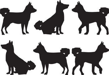 犬