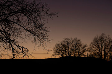 Silhouette view of three trees at sunset