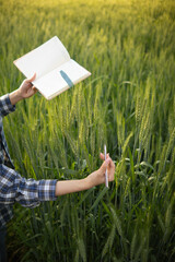 The researcher is using her hands to touch the barley plants and observe the barley yield and the...