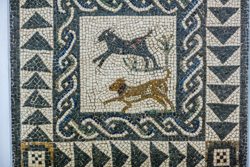 Mosaic of Animals and Dog