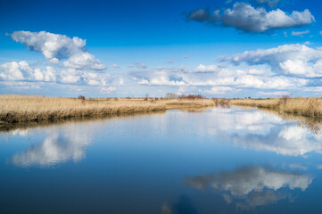Obraz premium Brazo de la Torre, one of the branches of the Guadalquivir river in Doñana marshland, Isla Mayor, Seville, Spain