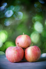 Close-up of red apples, Spain