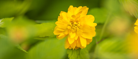 Seoul, South Korea - April 22 2024 