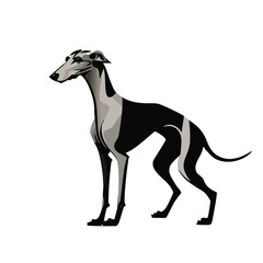 Obraz premium Illustration of Dog