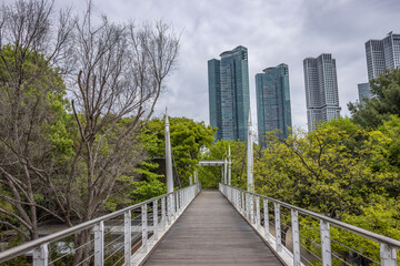 Obraz premium Seoul, South Korea - April 22 2024 