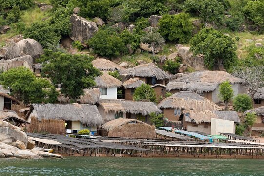 In the fishing village of Zambo on Lake Malawi, near the town of Monkey Bay. Malawi. Africa.