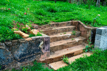 Farm with many trees, flowers on the lawn. Ladder.