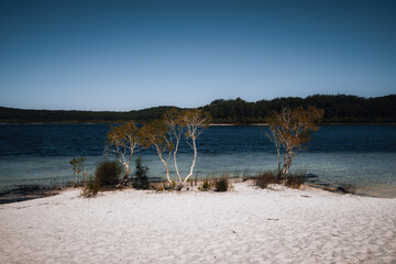 Aerial Drone shot Lake McKenzie, Fraser Island also called kgari, Queensland QLD, Australia. - obrazy, fototapety, plakaty