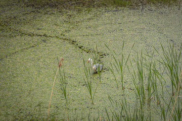 Seoul, South Korea - April 22 2024 