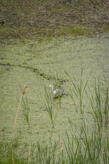 Seoul, South Korea - April 22 2024 