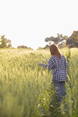 back of young woman walking through barley field along path in a bright green rice field in morning wants to be happy alone. young female tourist enjoys morning walk enjoying view of barley fields.