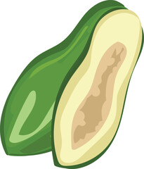 Papaya illustration on transparent background.
