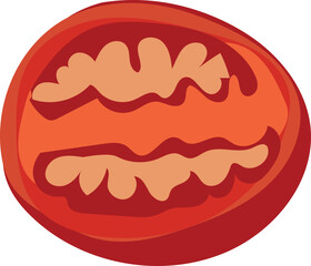 Tomato illustration on transparent background.
