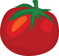 Tomato illustration on transparent background.
