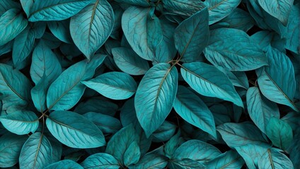background texture of turquoise leaves of a plant