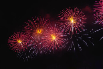 Fototapeta premium fireworks in the night sky
