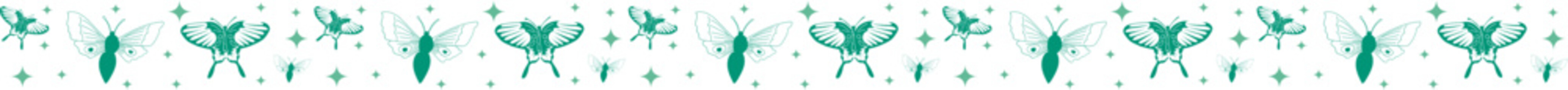 Insect with star line border on transparent background.
