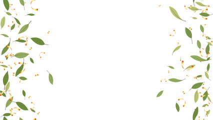 Green leaves frame background and gold confetti vector illustration